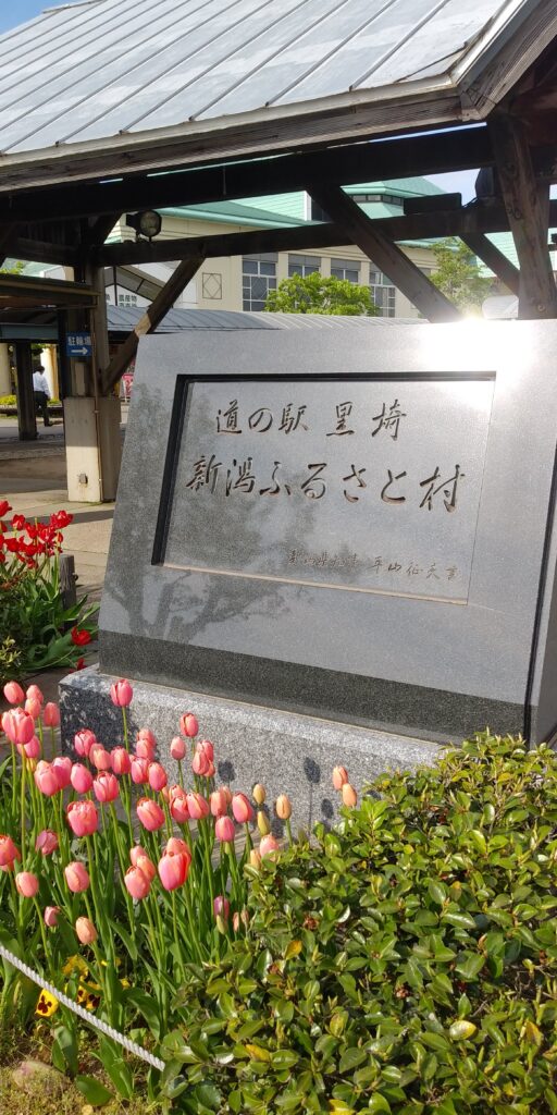 新潟ふるさと村のチューリップ祭り